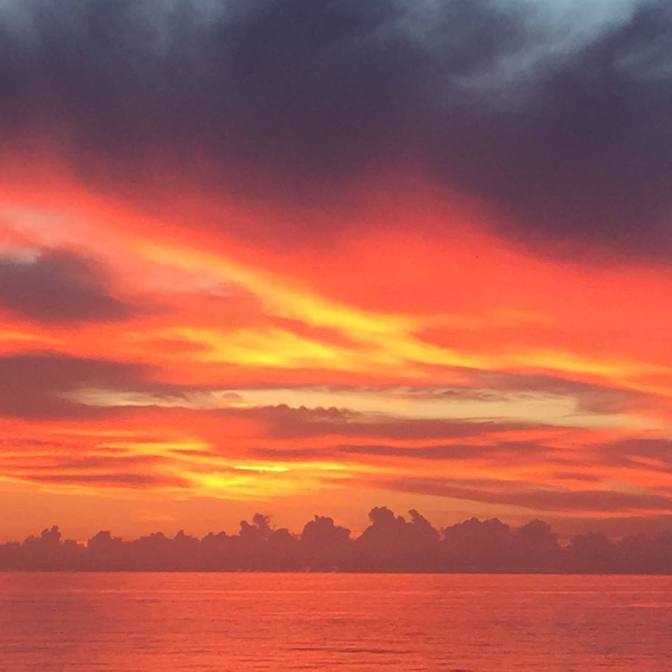 20842232_10211874655996405_4618768302914404090_n