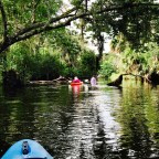 A Paddle Trip Up Turkey Creek