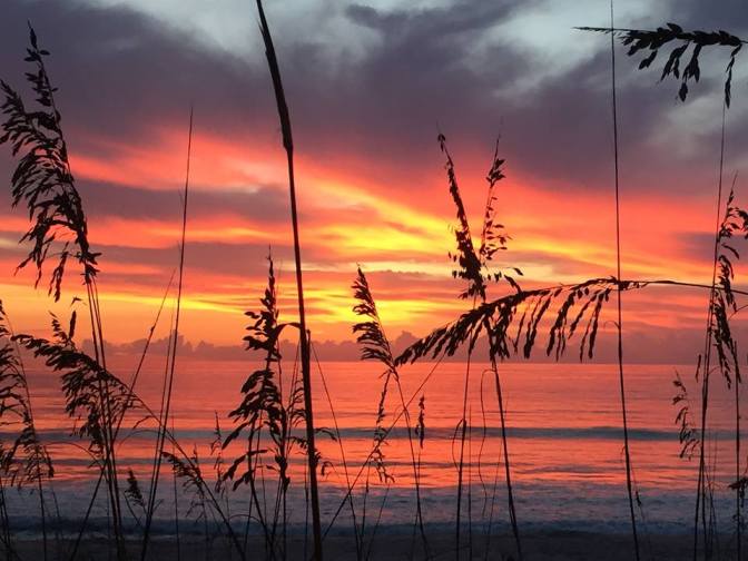 outdoors81487647321653_n