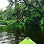 The Beauty of the St. Sebastian River