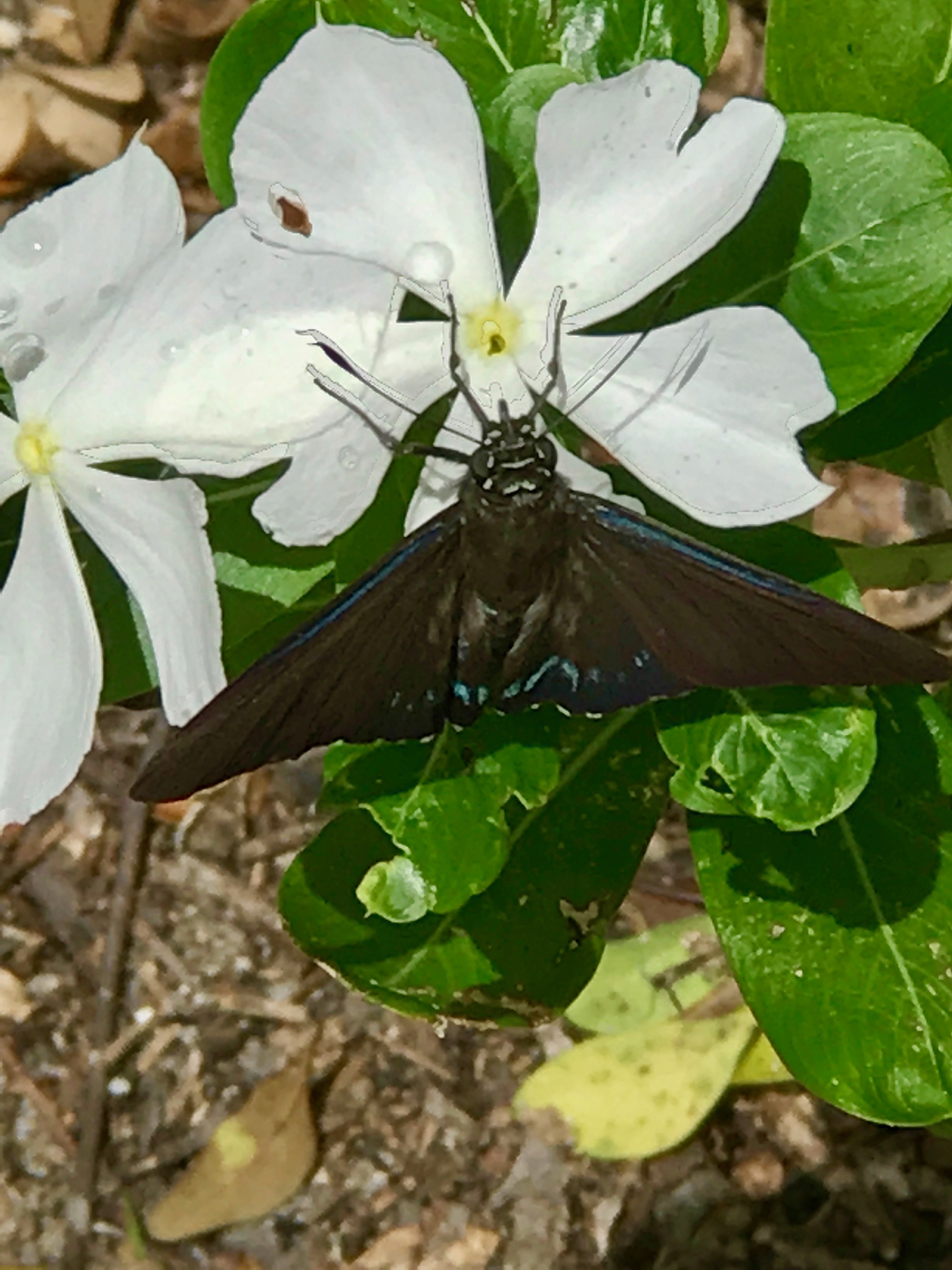 Random Pictures of Nature – The Casual Outdoorsman