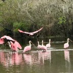 A Rainy Morning on the Hillsborough