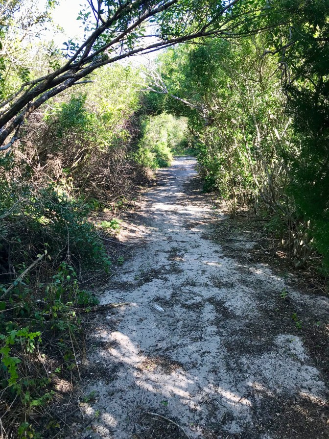 Samson’s Island: A Hidden Jewel in Satellite Beach – The Casual Outdoorsman