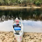 The Suwannee River from S.R. 51 to S.R.R.