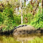 South Fork of the St. Lucie River