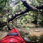 Paddle Trip on Silver and Ocklawaha Rivers.