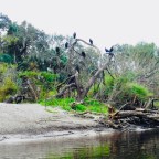 Paddle Camping Trip on the Peace River