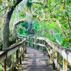 Day Hike through Turkey Creek Wildlife Sanctuary