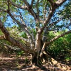 Morning Paddle and Hike on the Spoil Islands
